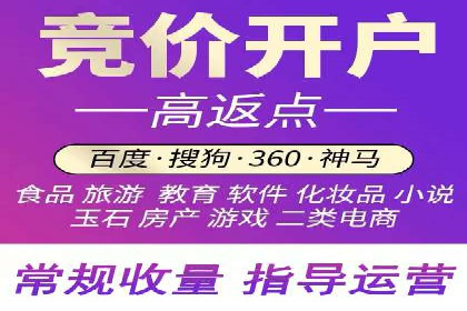 顶级SEM服务公司案例解析